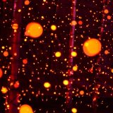 地元のイベントに参加して（ワタル）