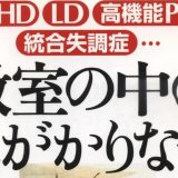 教室の中の気がかりな子ーー「リアル･ワールド」と「ファンタジー･ワールド」